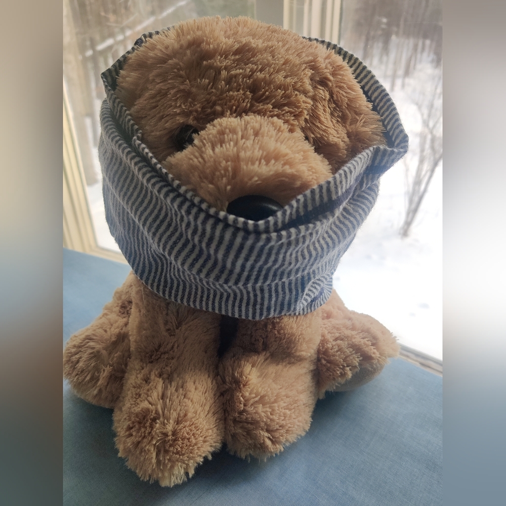 Burton Blue and White Striped Scarf